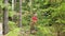 Woman collecting mushrooms in forest autumn nature