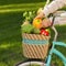 Woman collecting organic vegetables into basket on retro bicycle