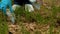 A woman collects garbage in a park close-up. Careful treatment of nature. Cleaning day