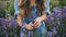 a woman collects lavender flowers in a field