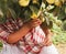 Woman collects ripe large apples.