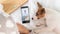 A woman communicates remotely with a doctor on her mobile while lying in bed. A loyal dog lies next to the sick owner