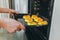 Woman cooking in the kitchen, puts cakes in the oven