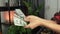 Woman is counting american dollars cash money, close up. Female hands are holding US money banknotes of new 100 dollars. Unrecogni