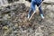 A woman in the countryside chooses manure from the pit early spring to the city