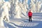 Woman cross country skiing