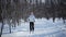 Woman Cross-Country Skiing Alone in Nature