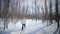 Woman Cross-Country Skiing Alone in Nature