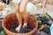Woman crushes feet of grapes to make wine