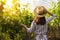 Woman among cultivated grape plants