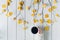 Woman with cup of coffee in the in birch branches with yellow leaves  on white retro wood boards. background. Autumn