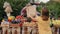 Woman customer buying organic groceries at farmers market