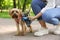 Woman with cute dog taking waste bag from holder in park