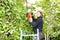 A woman cuts the hedge with an electric hedge cutter