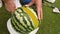 Woman is cutting yellow watermelon.