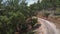 Woman cycling outdoors. Professional road cyclist riding bicycle in mountains surrounded by green pine tree forest. Bike traveller