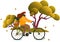 Woman cyclist riding bike in autumn park. Healthy lifestyle, sport, outdoor activity concept