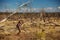 Woman in dead tree forest