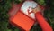 Woman decorating giftbox with powdered sugar and figures, hand-made presents