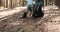 Woman deep breathing resting, sitting in chair with tourist backpack in pine forest in sun shin