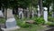 Woman depressed cemetery