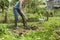 Woman Digging On An Allotment