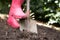 Woman digging in garden