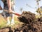 A woman digs a garden with a shovel