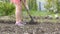 Woman digs holes in the garden with a shovel for planting plants