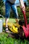 A woman digs soil and soil with a spade shovel and old zinc water can