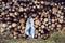 woman director is standing by a log at a sawmill in a scarf and a blue hat