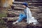 woman director is standing by a log at a sawmill in a scarf and a blue hat