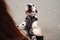 Woman discussing and training her dalmatian pet in the city