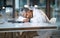 Woman doctor sleeping at desk in overtime medical office, late hospital and burnout. Stress, night and healthcare worker