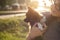 Woman with dog on outdoors sunset background