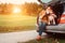 Woman with dog sits in car trunk on autumn road