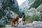 Woman and dogs enjoying a serene mountain vista