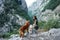 Woman and dogs enjoying a serene mountain vista