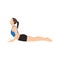 Woman doing Cobra or Bhujangasana Yoga pose. Flat vector