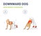 Woman Doing Downward Dog Home Workout Exercise Guide Colorful Concept Illustration.