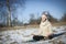 Woman doing hatha yoga outdoor