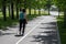 Woman doing nordic walking with a summer park on a sunny day.