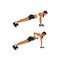 Woman doing Plank and Row or Renegade row