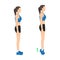 Woman doing tip toe pose move for reduce leg cellulite. Workout diagram about Calves reduction for slim leg