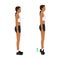 Woman doing tip toe pose move for reduce leg cellulite. Workout diagram about Calves reduction for slim leg