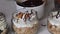 A woman is doing trifles. Garnishes trifles in jars with liquid caramel. Close-up