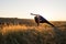 Woman doing yoga extended side angle pose during sunset