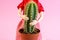 Woman doll hugs a cactus plant on light pink background. Harmful, painful and toxic relationship, partner problems