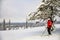 Woman downhill skiing in ski resort area in Lapland Finland