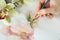 Woman drawing beautiful orchid flowers in sketchbook, closeup